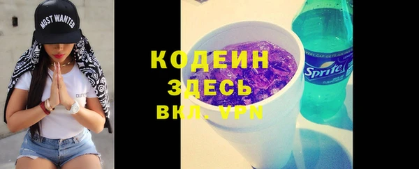 ПСИЛОЦИБИНОВЫЕ ГРИБЫ Верея