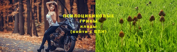 мяу мяу мука Семикаракорск