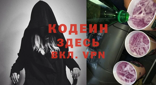 ПСИЛОЦИБИНОВЫЕ ГРИБЫ Верея