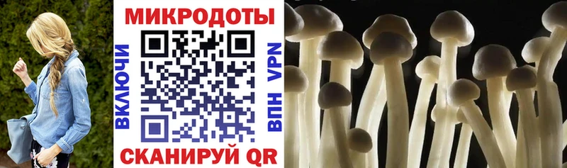 Псилоцибиновые грибы GOLDEN TEACHER  darknet официальный сайт  Касли 