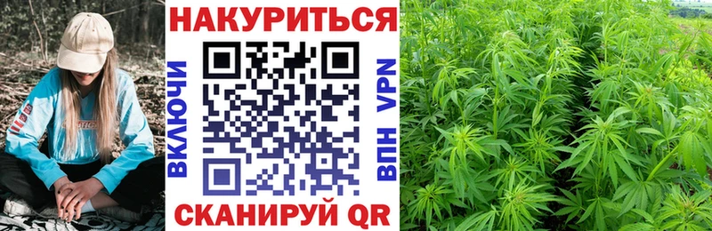 мориарти формула  Касли  KRAKEN ТОР  МАРИХУАНА семена  купить закладку 